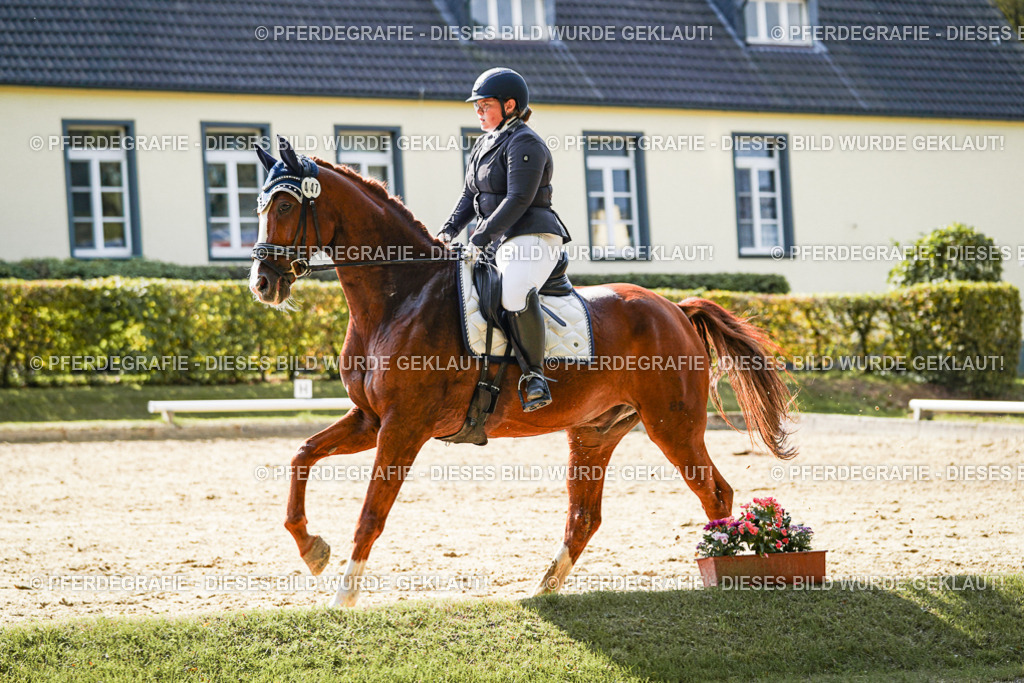 DSC08020 | Pferdegrafie