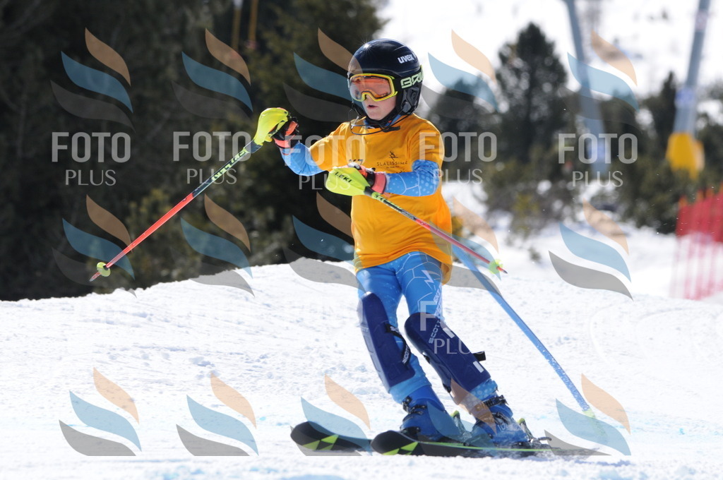 C8959 | holidayphoto