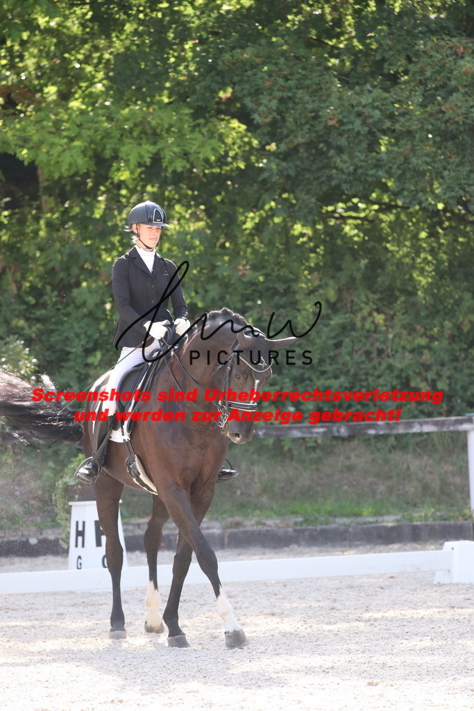 IMG_5782 | lmwpictures - Realisiert mit Pictrs.com