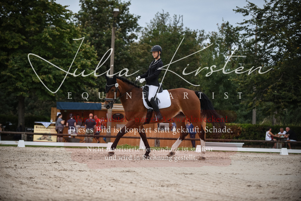 DSC_8261 | Pferde- und Turnierfotografie in Westsachsen. Pferdeportraits, Auftragszeichnungen und intuitive Kunst.