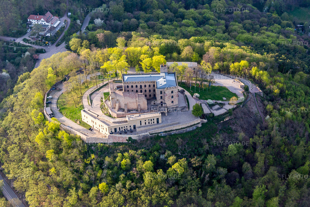 Luftbild: Oberhambach, Hambacher Schloss im Ortsteil Diedesfeld in Neustadt im Bundesland Rheinland-Pfalz in Deutschland. Foto: IMG_106595.jpg vom 17.04.2018 durch Werner Riehm/FLY-FOTO.de