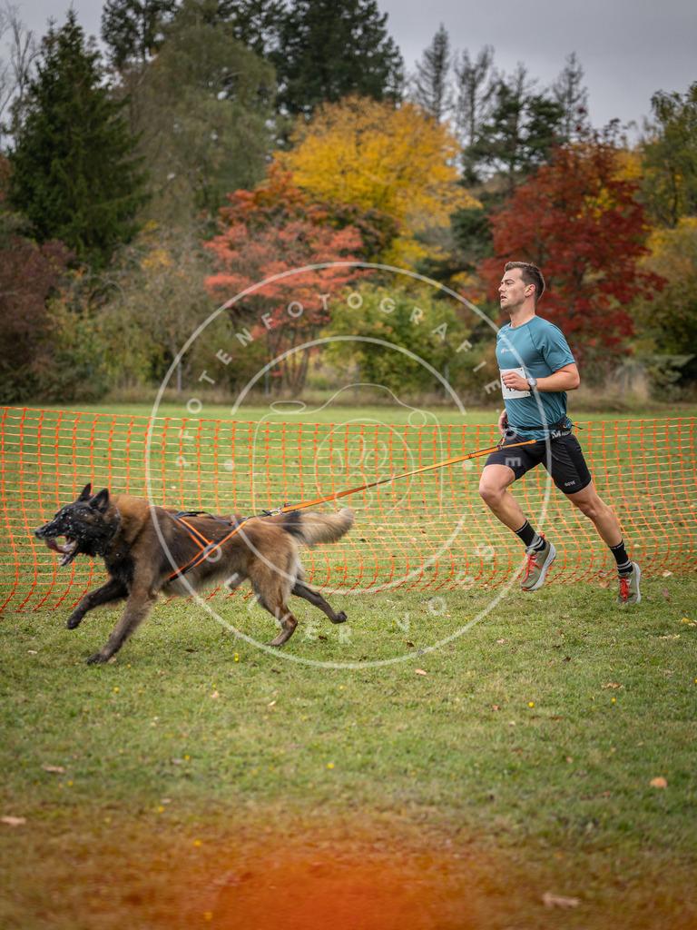 Pfotenfotografie_DV3A2476 | Hundefotografie, Tierfotograf, Pfotenfotografie, Fotoshooting Hund, Hunde Portrait, Hundesport, Hundeportraits, Heideshooting, Hunde, Sportfotograf, Hundefotograf, Turnierhundsport, THS,  - Realisiert mit Pictrs.com
