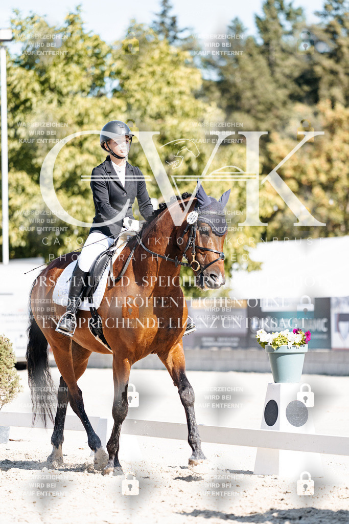 CK908763 | Turnierfotografie Pferdefotografie Trier Rheinland-Pfalz Pferdesport Reitsport Tierfotografie Sportfotografie Pferdevideo Pferdevideografie Equestrianvideography equestrianphotography  - Realisiert mit Pictrs.com