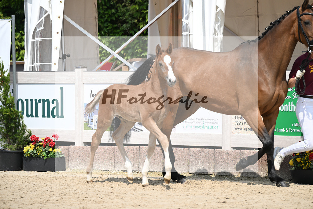 Arezzo Man x Zinedream_HF_Lohmiller_12250404 | hf-fotografie - Realisiert mit Pictrs.com