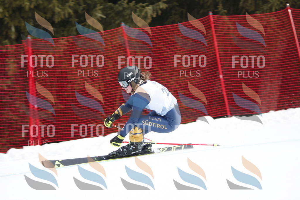 D4859 | holidayphoto