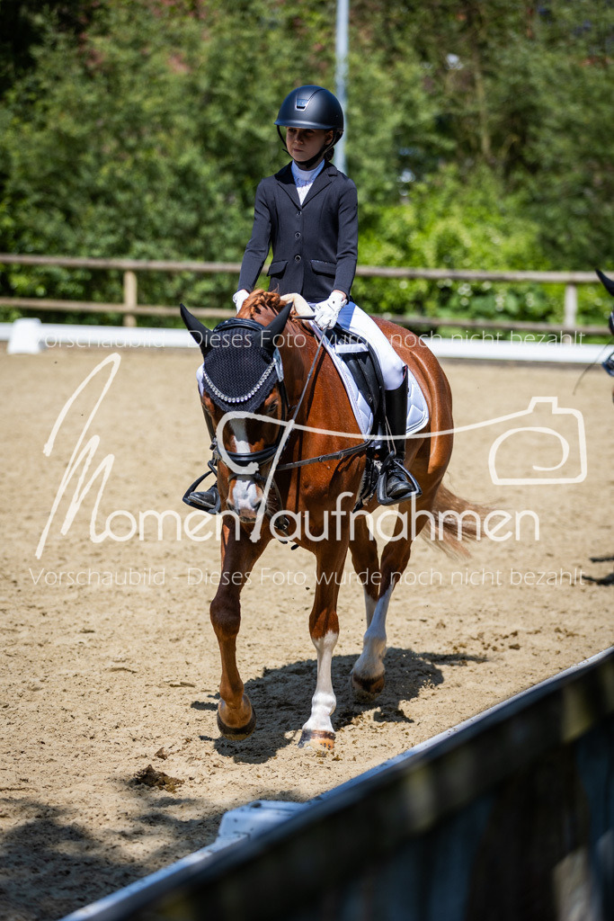 Donop24-RWB-036 | MomenTaufnahmen Pferdesportfotos