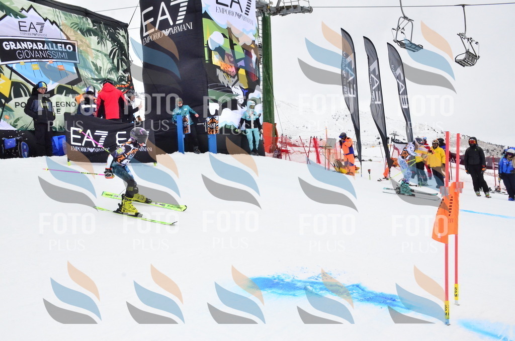 _ELE4067 | holidayphoto