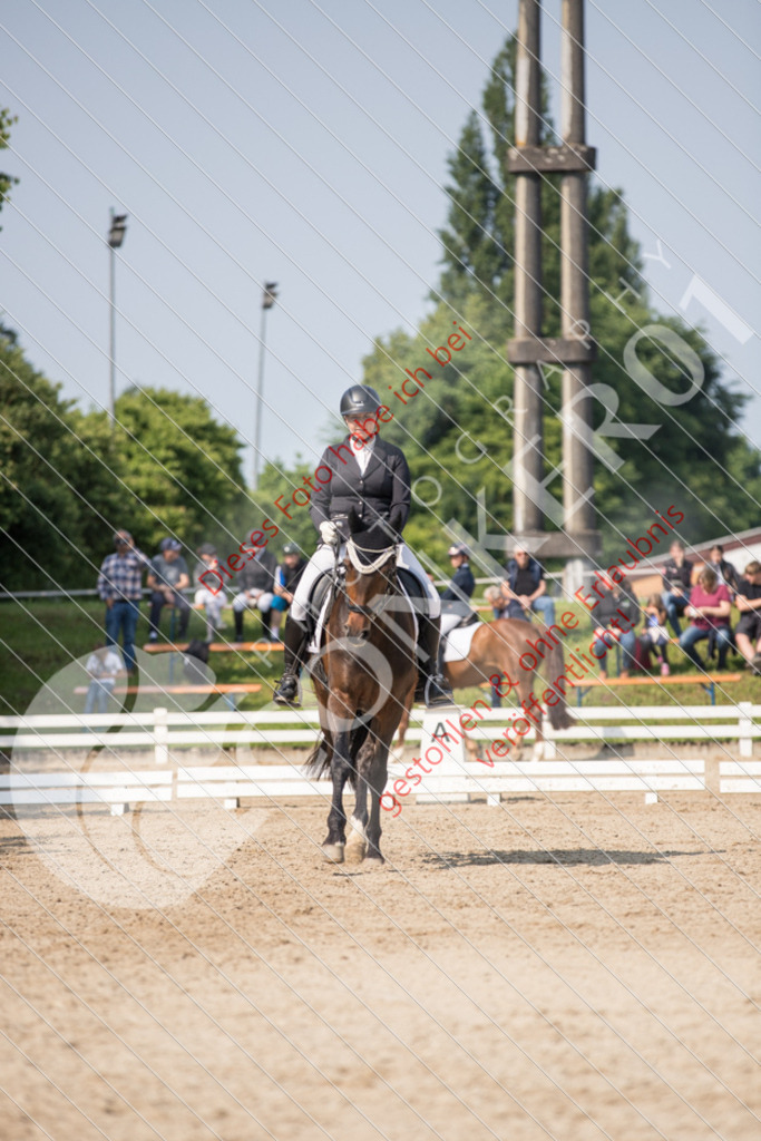 IMG_2585 | Sport-, Event- und Tierfotos in Profiqualität. Einfach auswählen, bestellen und herunterladen. Dein Moment – perfekt festgehalten.