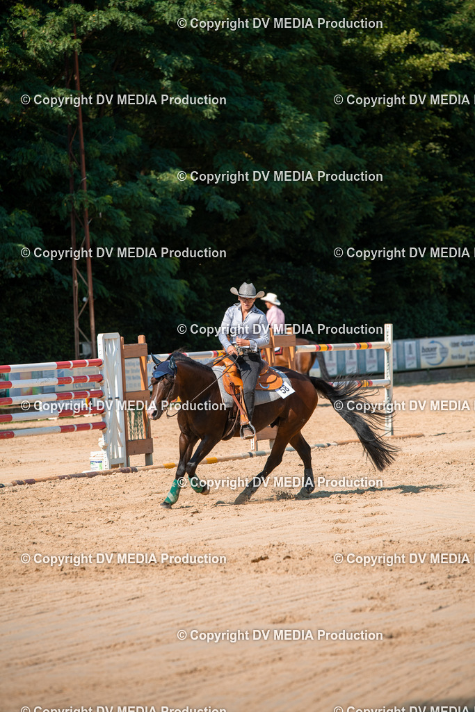 ZS2_8787 | dv-media-shop - Realisiert mit Pictrs.com