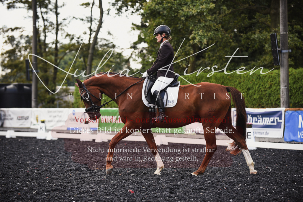 DSC_3994 | Pferde- und Turnierfotografie in Westsachsen. Pferdeportraits, Auftragszeichnungen und intuitive Kunst.