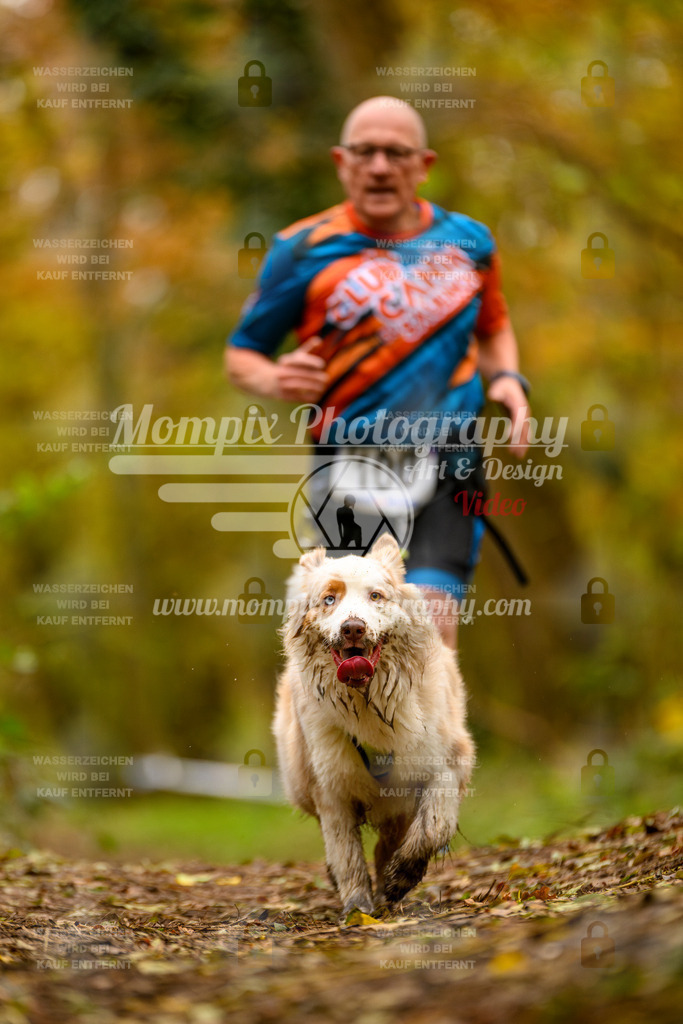MompixPhotography_Bischwiller24_SA_Canicross-182 | mompixphotography
