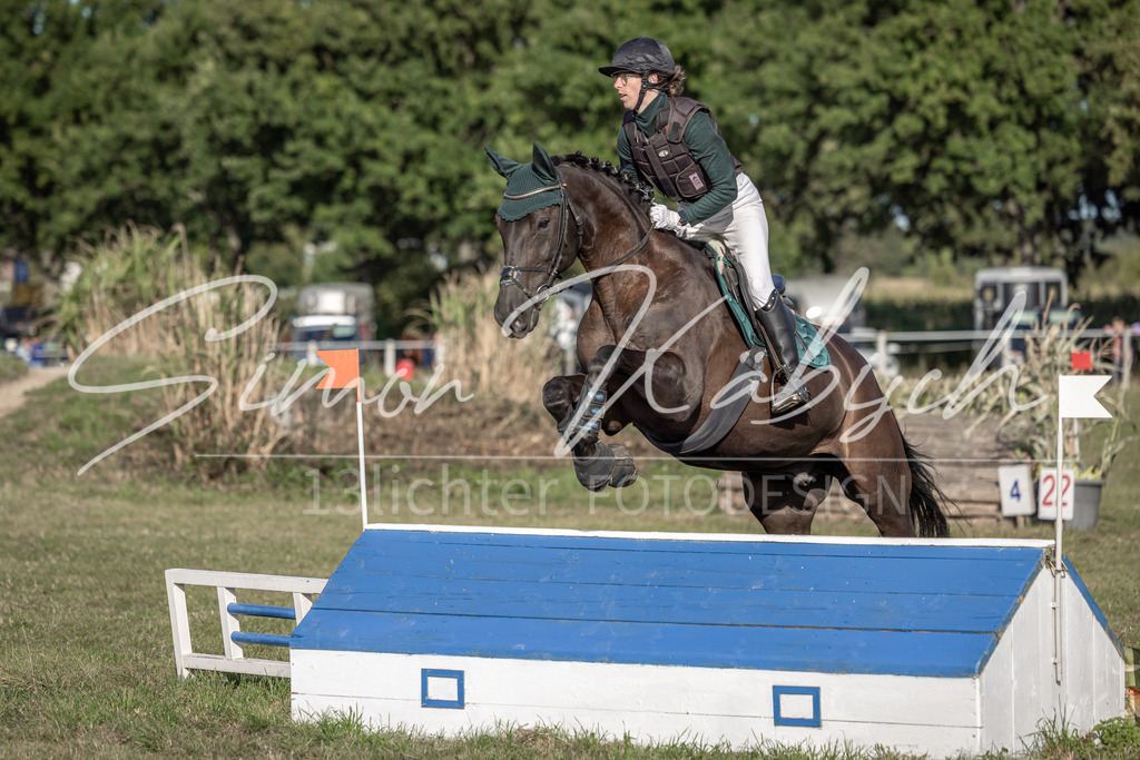 20250907-_3LI8791 | Tierfotografie Pferde, Hunde, Katzen, Haustiere.
Turnierfotografie Reitturniere, Reiten, Springreiten, Dressur in Hanau, dem Main-Kinzig-Kreis und dem Rhein-Main- Gebiet um Frankfurt