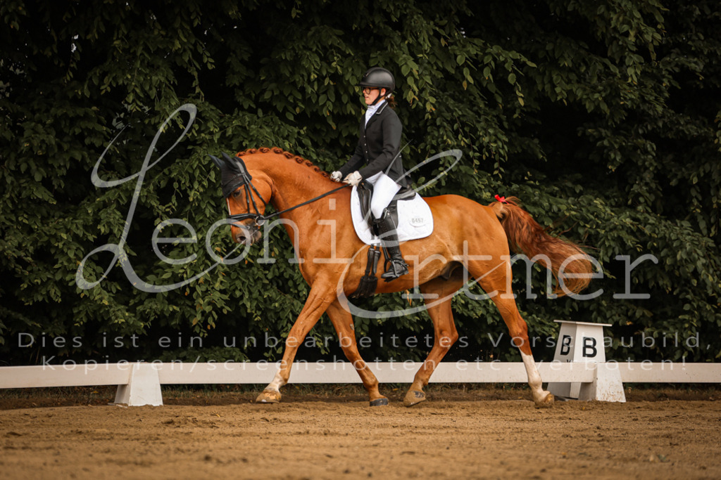 DoDrA00045 | Leoni Ertmer Photography - Realisiert mit Pictrs.com