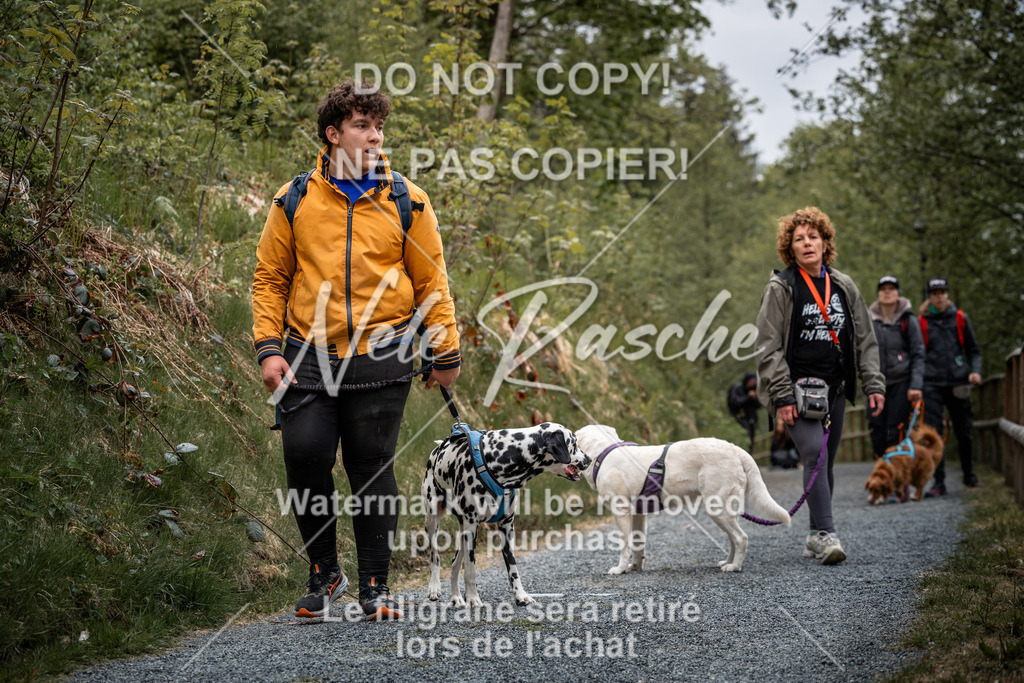 nelerasche_SaAbends_188 | nelerasche - Realisiert mit Pictrs.com