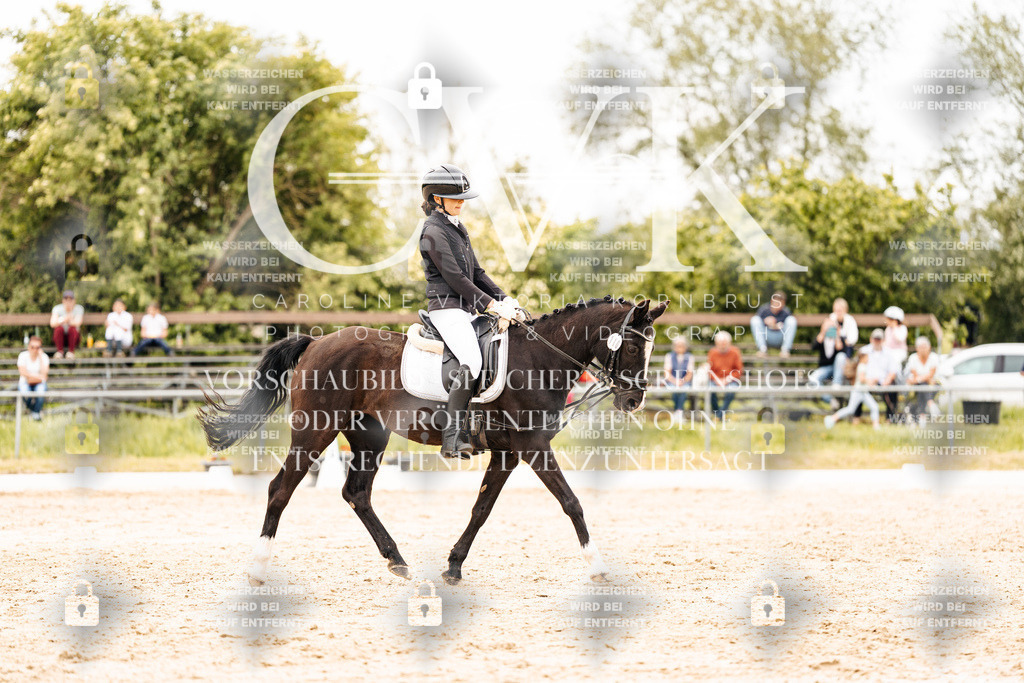 CK903541 | Turnierfotografie Pferdefotografie Trier Rheinland-Pfalz Pferdesport Reitsport Tierfotografie Sportfotografie Pferdevideo Pferdevideografie Equestrianvideography equestrianphotography  - Realisiert mit Pictrs.com
