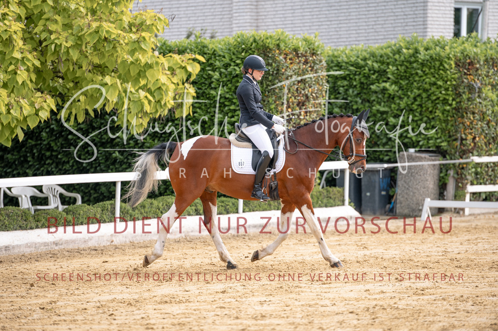 Schugtsche-Aluta25-40.DressurprfA_-225 | Schugtsche Fotografie - Realisiert mit Pictrs.com