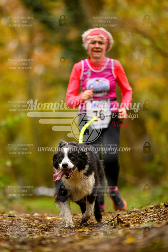 MompixPhotography_Bischwiller24_SA_Canicross-141 | PayLife