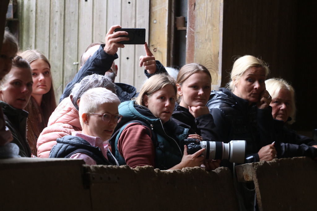 IMG_0817 | jessicahollubetz_pferdephotographie - Realisiert mit Pictrs.com