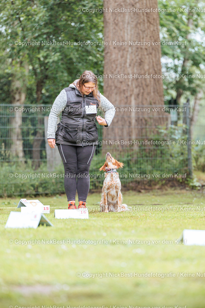 RO-Blumenthal-2026-Nickbest-Hundefotografie-3736 | Dein Hund! Dein Moment! Deine Erinnerungen! Hundefotografie in Bremen Blumenthal. Ich fange die besonderen Momente deines Vierbeiners ein – ob Indoor mit Blitzanlage oder in der freien Natur. Sicher dir dein Moment und dein Termin für eure Erinnerungen.
