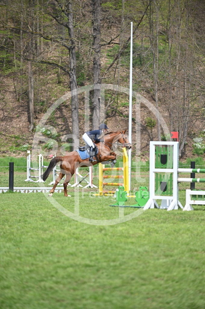 DSC_1894 | sattelsport - Realisiert mit Pictrs.com