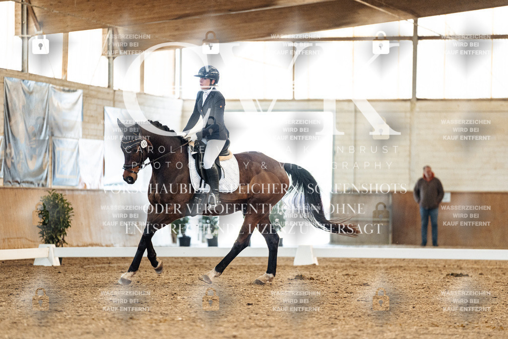 CK908448 | Turnierfotografie Pferdefotografie Trier Rheinland-Pfalz Pferdesport Reitsport Tierfotografie Sportfotografie Pferdevideo Pferdevideografie Equestrianvideography equestrianphotography  - Realisiert mit Pictrs.com