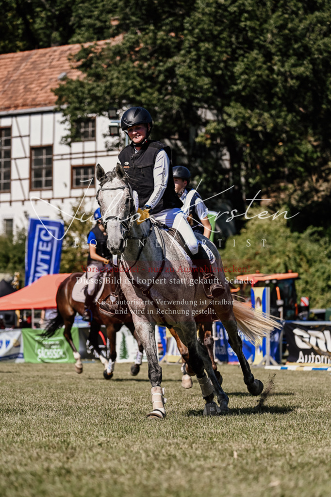 DSC_2597 | Pferde- und Turnierfotografie in Westsachsen. Pferdeportraits, Auftragszeichnungen und intuitive Kunst.