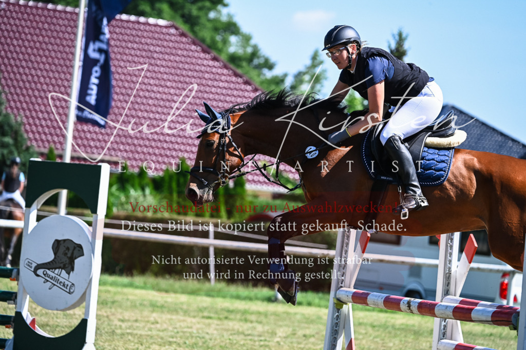 DSC_1443 | Pferde- und Turnierfotografie in Westsachsen. Pferdeportraits, Auftragszeichnungen und intuitive Kunst.