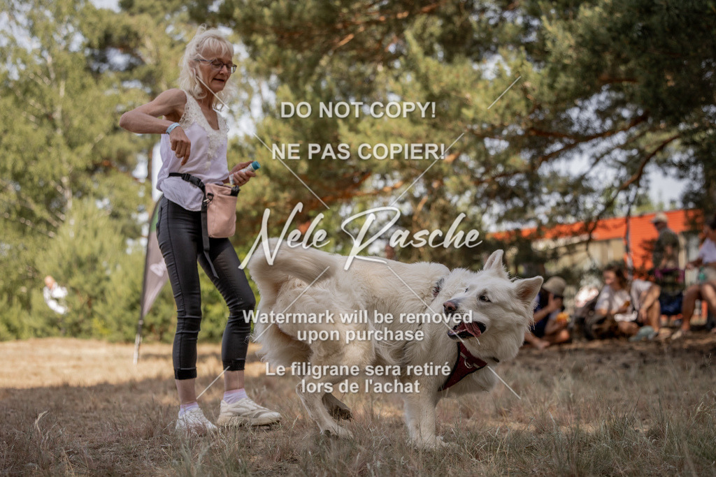 nelerasche_soDD2_187 | nelerasche