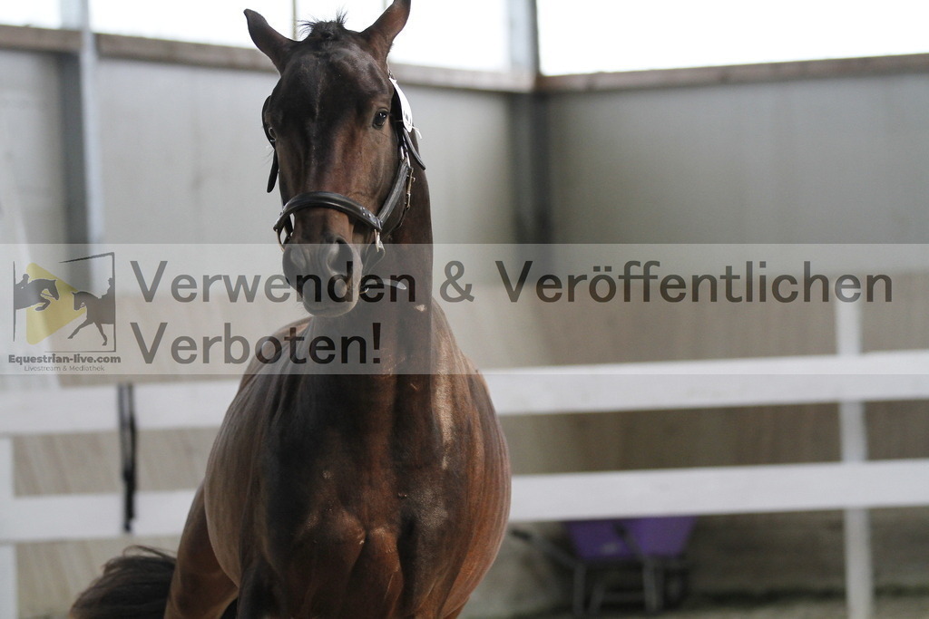_MG_9674 | equestrian-live-com
