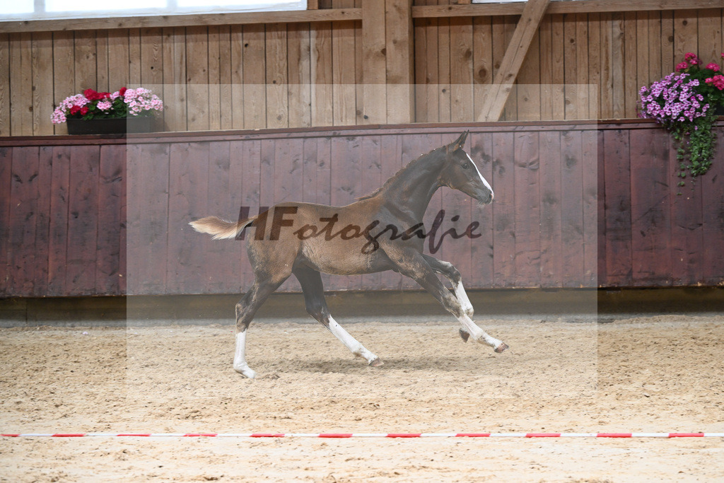Kat-Nr. 24 HF Be Sure_Niedermair_26230318 | hf-fotografie - Realizzato con Pictrs.com