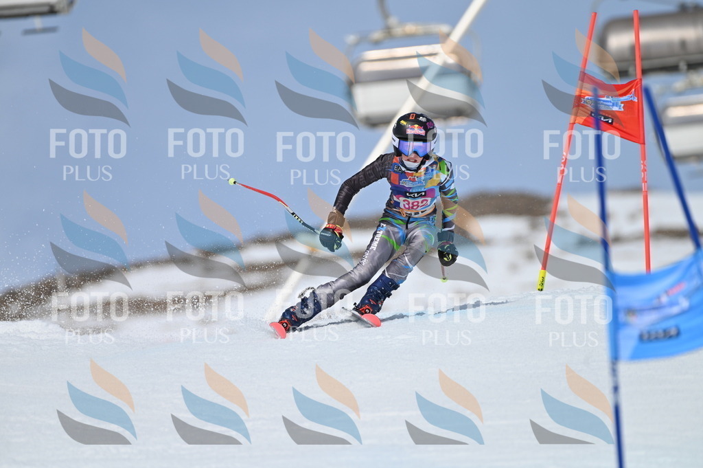 BGV_4210 | holidayphoto