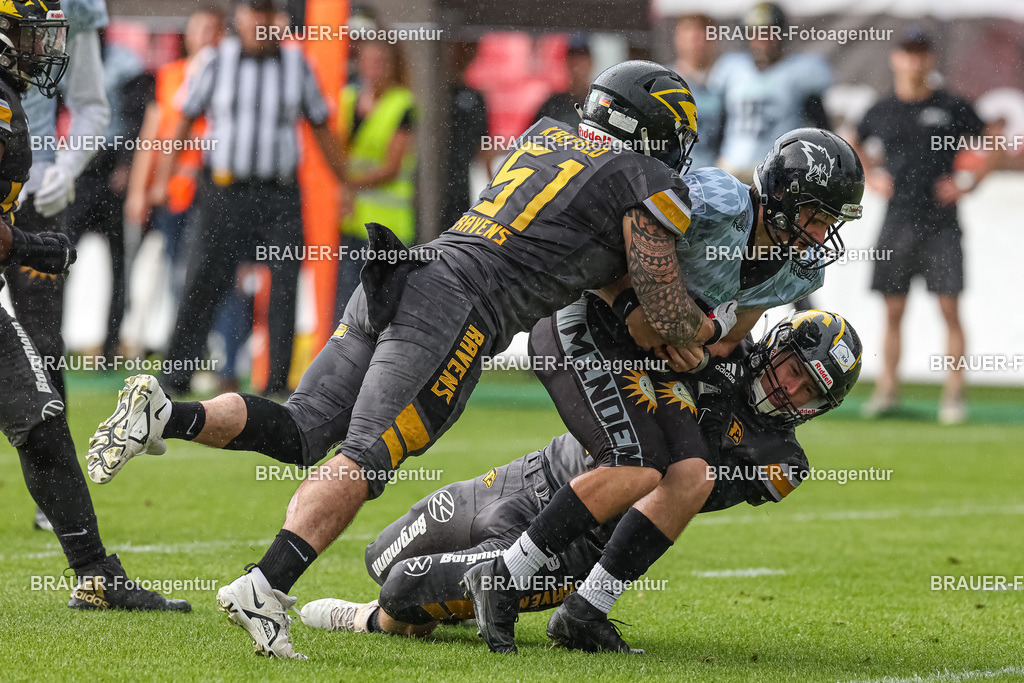 097_Ravens_20230827_0840 | BRAUER-Fotoagentur