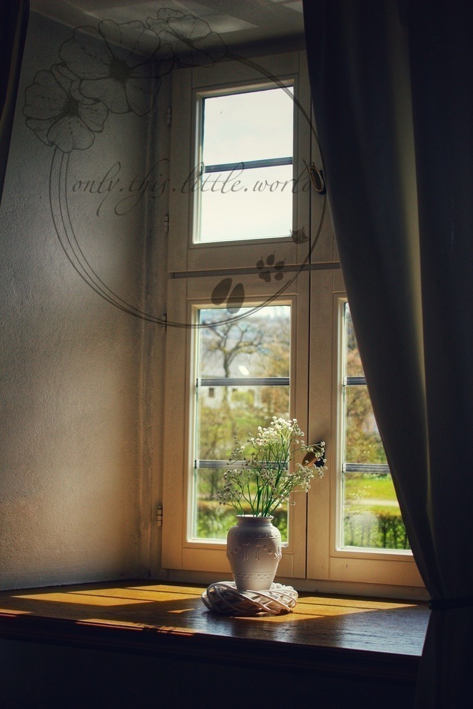 Fenster im Schloss Adolphsburg | only.this.little.world - Realisiert mit Pictrs.com