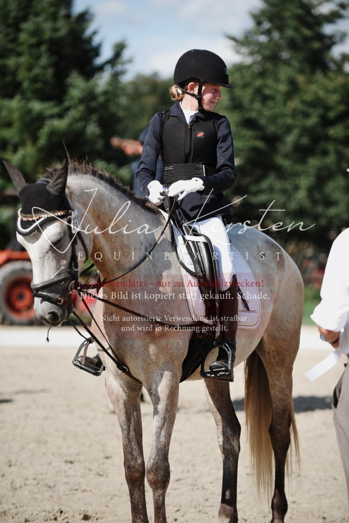 DSC_0187 | Pferde- und Turnierfotografie in Westsachsen. Pferdeportraits, Auftragszeichnungen und intuitive Kunst.