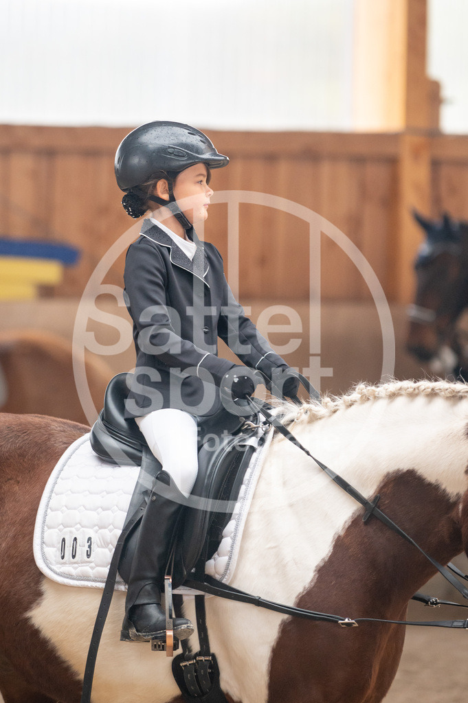 DSC_6480 | sattelsport - Realisiert mit Pictrs.com