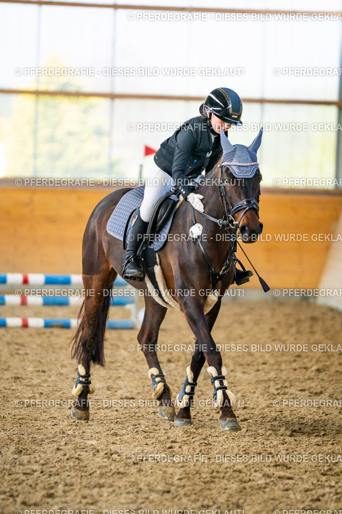 DSC00909 | Pferdegrafie