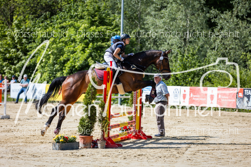 Donop24-ESpr-025 | MomenTaufnahmen Pferdesportfotos