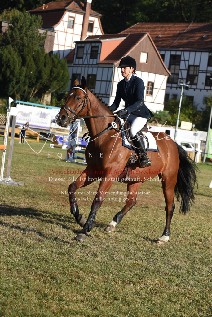 DSC_5012 | Pferde- und Turnierfotografie in Westsachsen. Pferdeportraits, Auftragszeichnungen und intuitive Kunst.