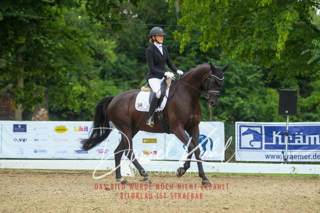 DKP40319 | Turniersportfotografie; Pferdefotografie; Dressurfotografie