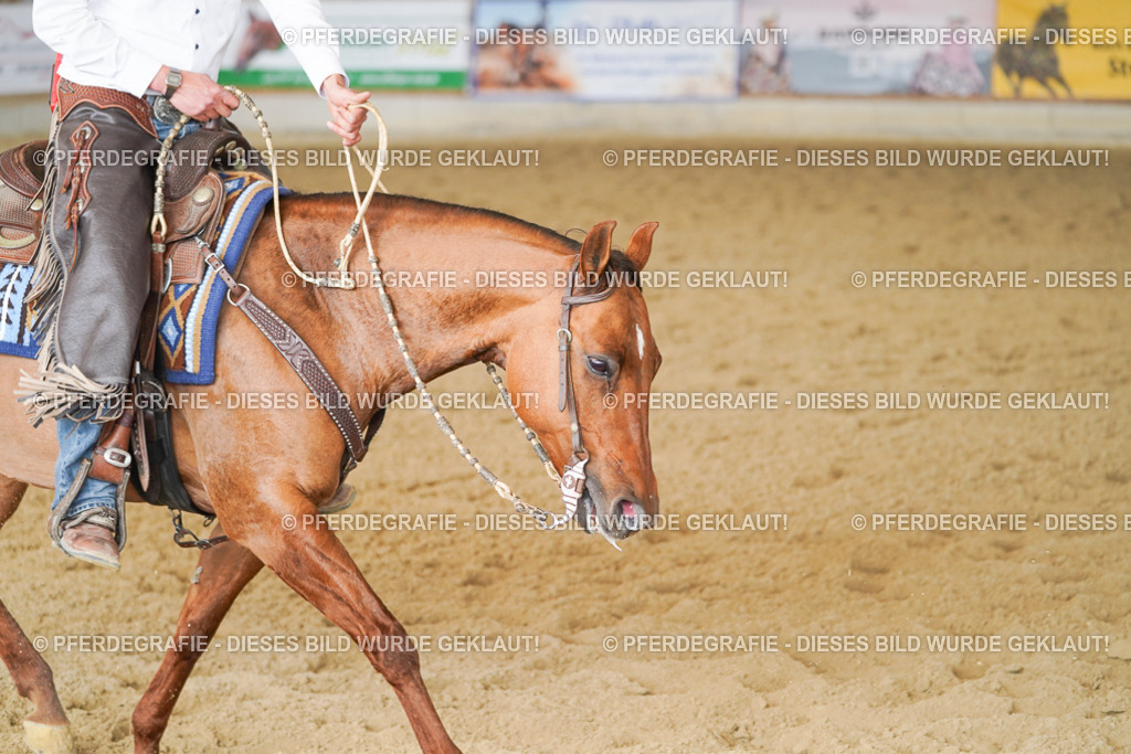 DSC00822 | Pferdegrafie