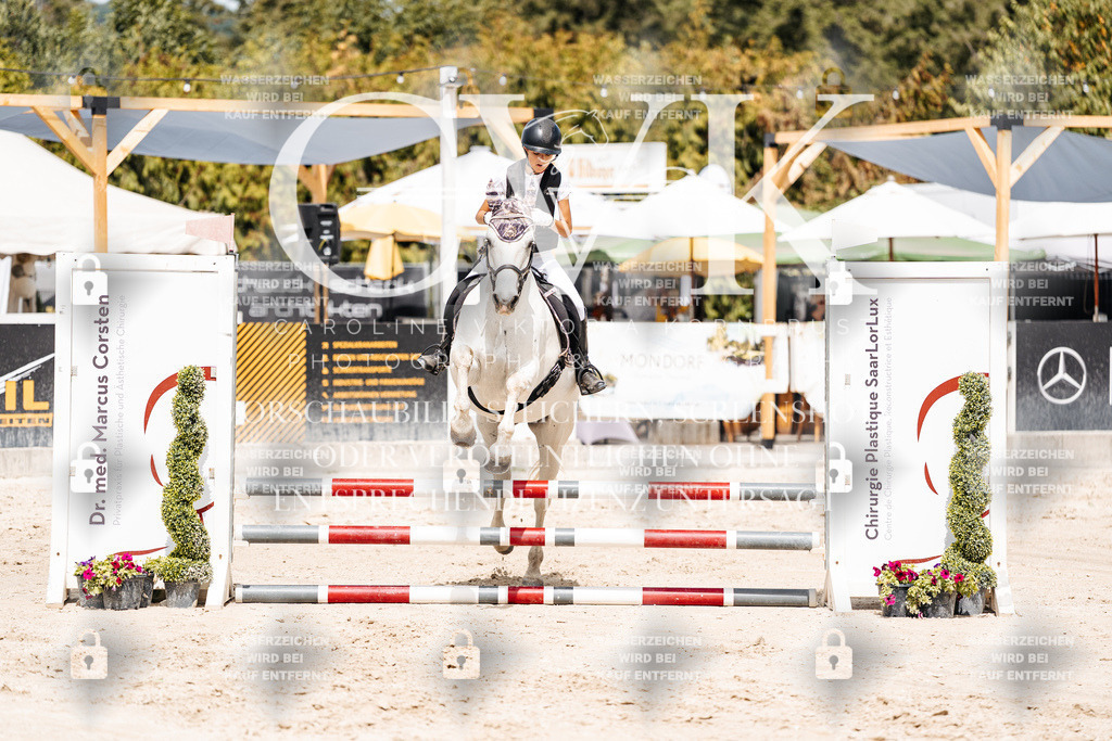 CK906501 | Turnierfotografie Pferdefotografie Trier Rheinland-Pfalz Pferdesport Reitsport Tierfotografie Sportfotografie Pferdevideo Pferdevideografie Equestrianvideography equestrianphotography  - Realisiert mit Pictrs.com