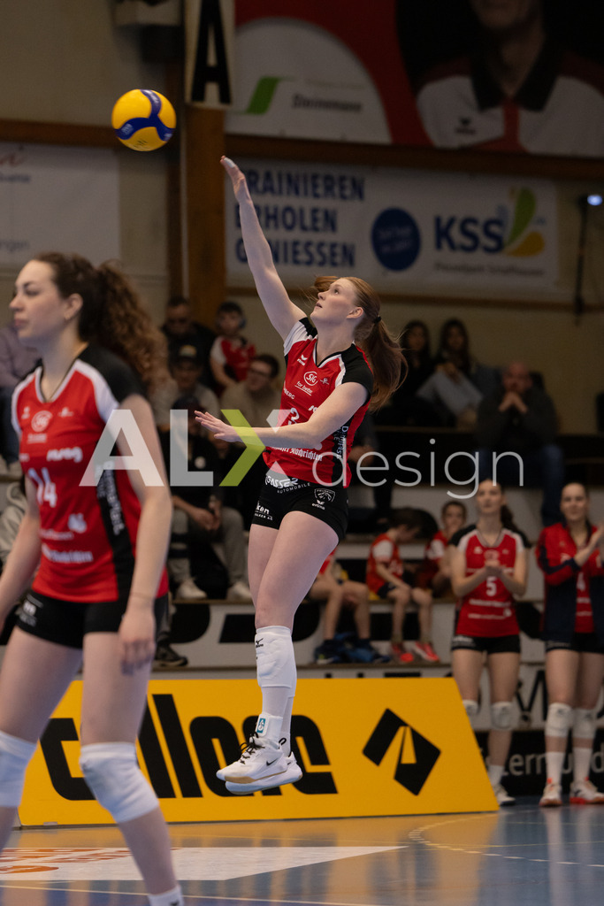 Volleyball I Frauen I Saison 2025-2026 I Volleyball NLA | Women I 1/4 Finals I VC Kanti Schaffhausen - BIWI Volleyball Franches-Montagnes I 21.02.2026 | 3 Sydney Cole (USA) (VC Kanti Schaffhausen) – Pass / Zuspiel - Realisiert mit Pictrs.com