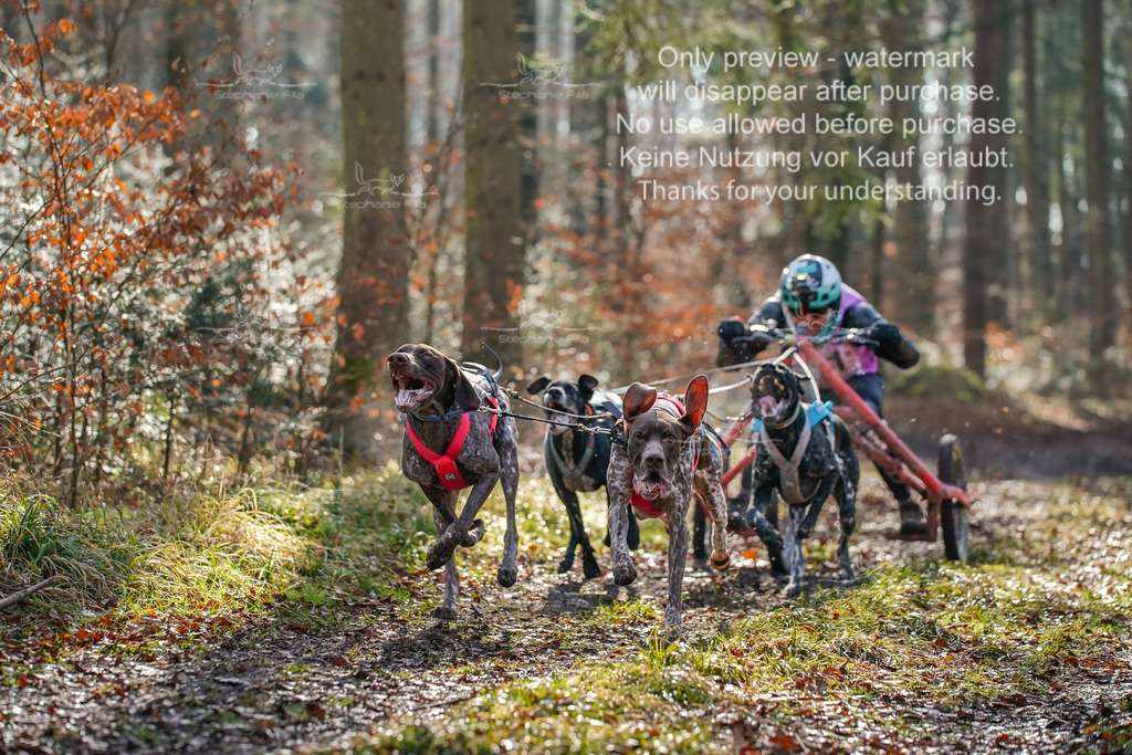 So2_Gespanne-6 | stephaniefillaphotographie - Realisiert mit Pictrs.com