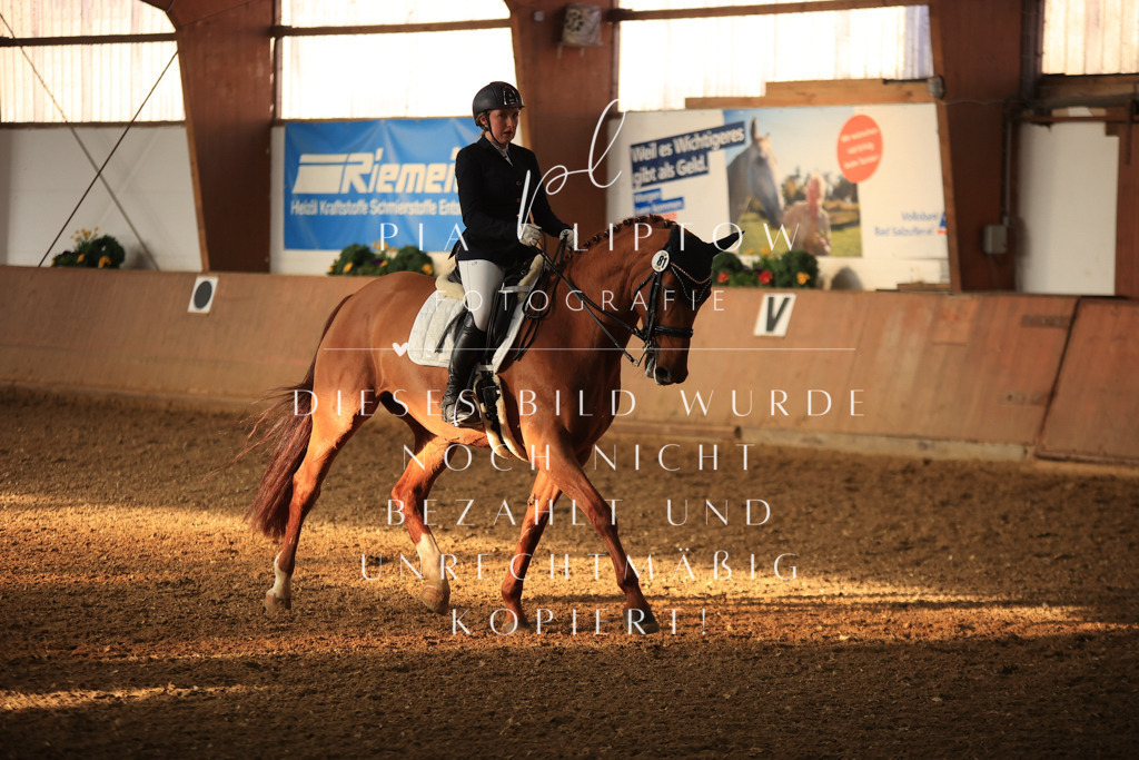 IMGT0212 | pl-fotografie