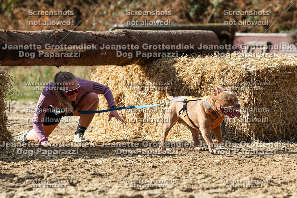 Dog Paparazzi - Strongdog 10-25-5220 | Dog Paparazzi Jeanette Grottendiek Fotografie & Videografie - Realisiert mit Pictrs.com