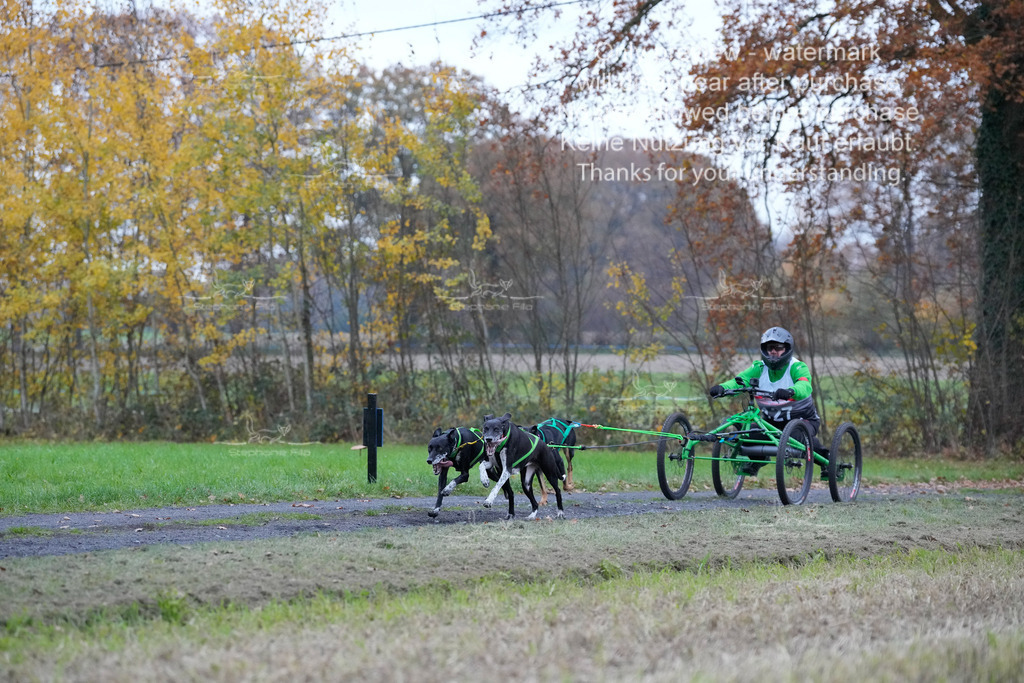 Visbeck_Sa_D4_6-17 | stephaniefillaphotographie - Realisiert mit Pictrs.com