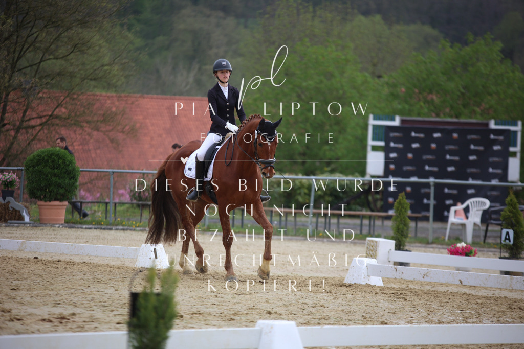 IMGT7355 | pl-fotografie