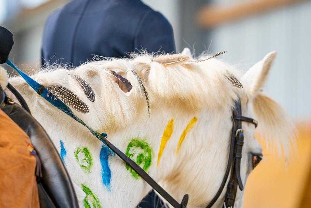 DSC00004 | Pferdegrafie