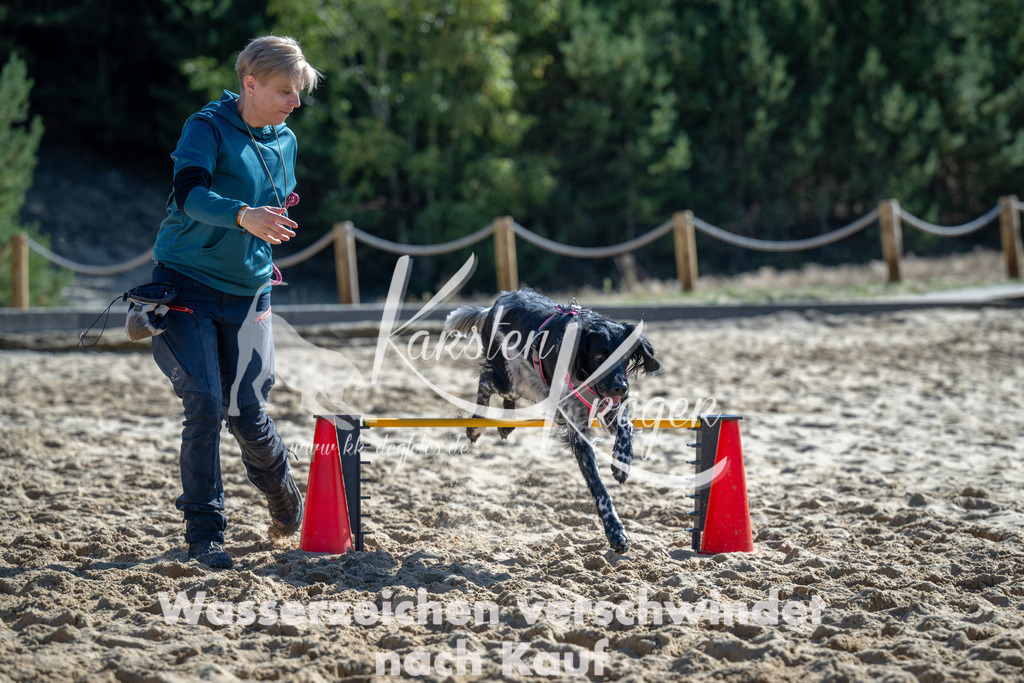 1249_ZZ93529-2 | kk-dogfotos