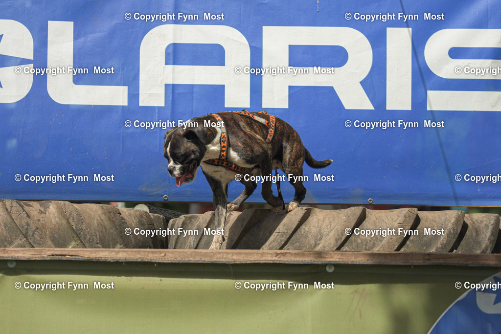 DSC_0592 | Hallo und herzlich Willkommen auf meiner Shop-Seite Fynn Most.

Ich wünsche Dir viel Spaß beim stöbern durch die Bilder, wenn Du Fragen hast oder Bilder vermisst, kannst du mir gerne eine Nachricht schreiben. - Realisiert mit Pictrs.com